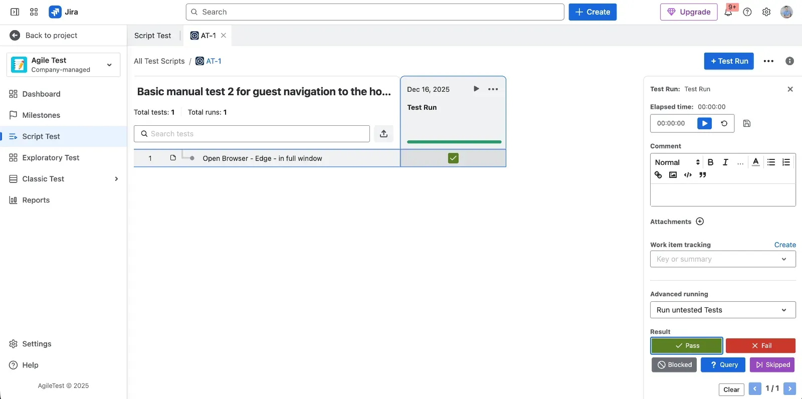 Test Execution view in AgileTest