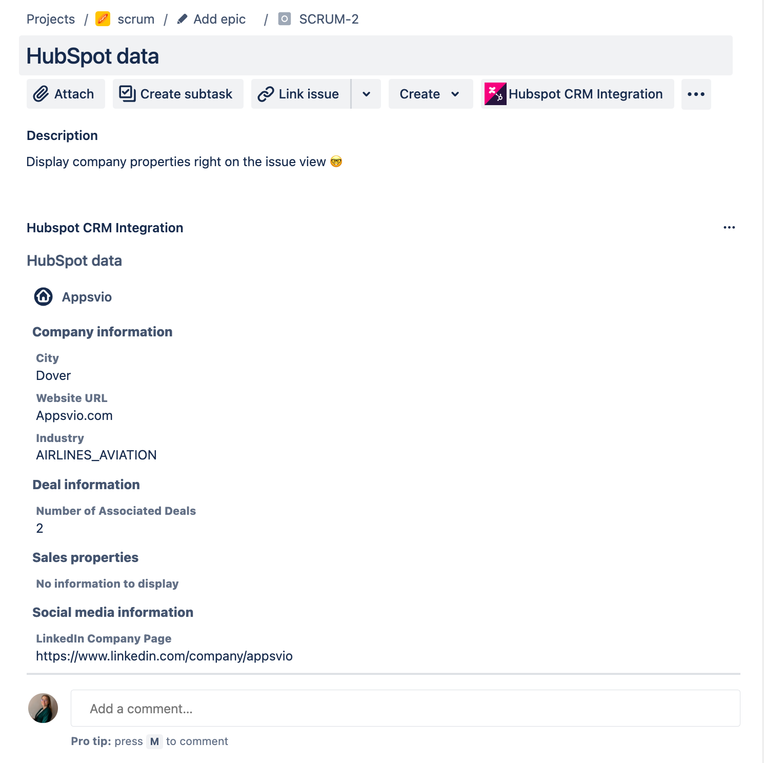 HubSpot Issue view
