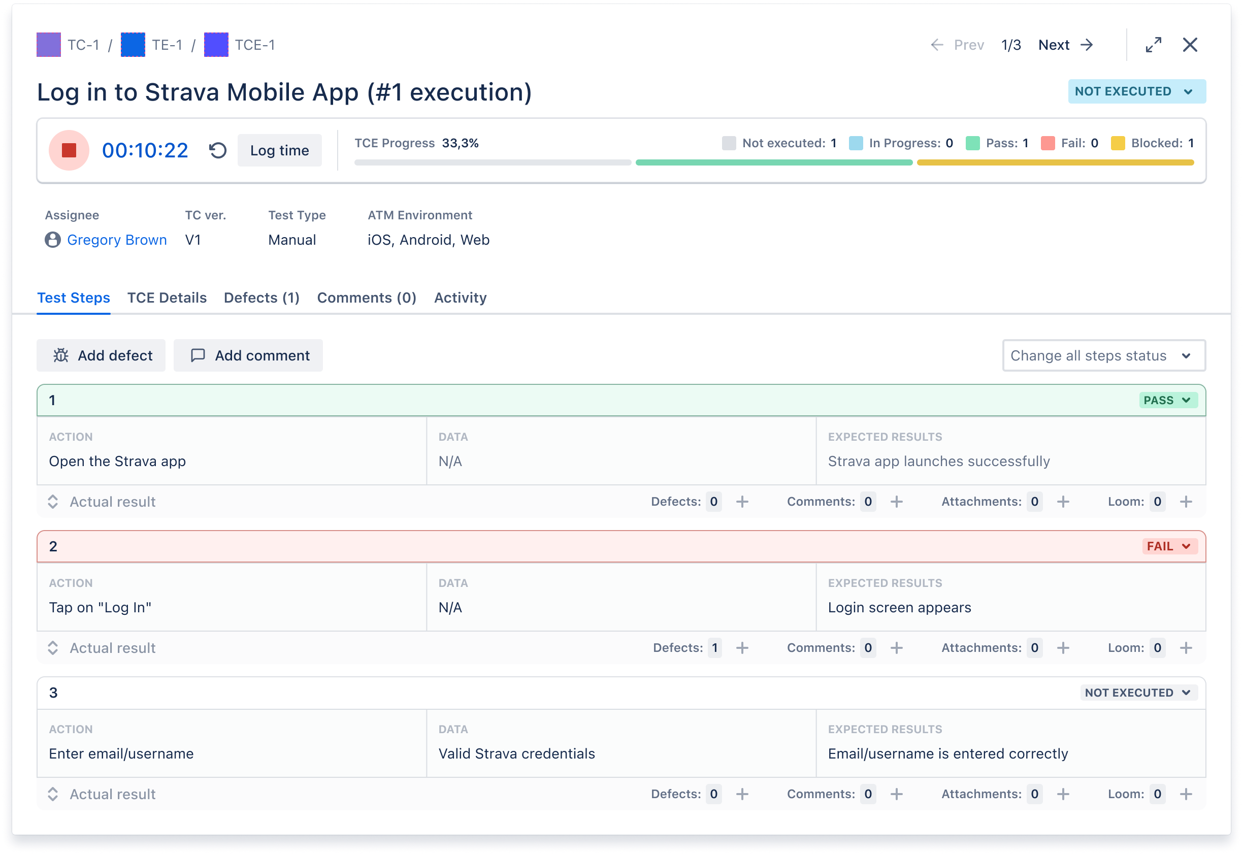 test-case-execution