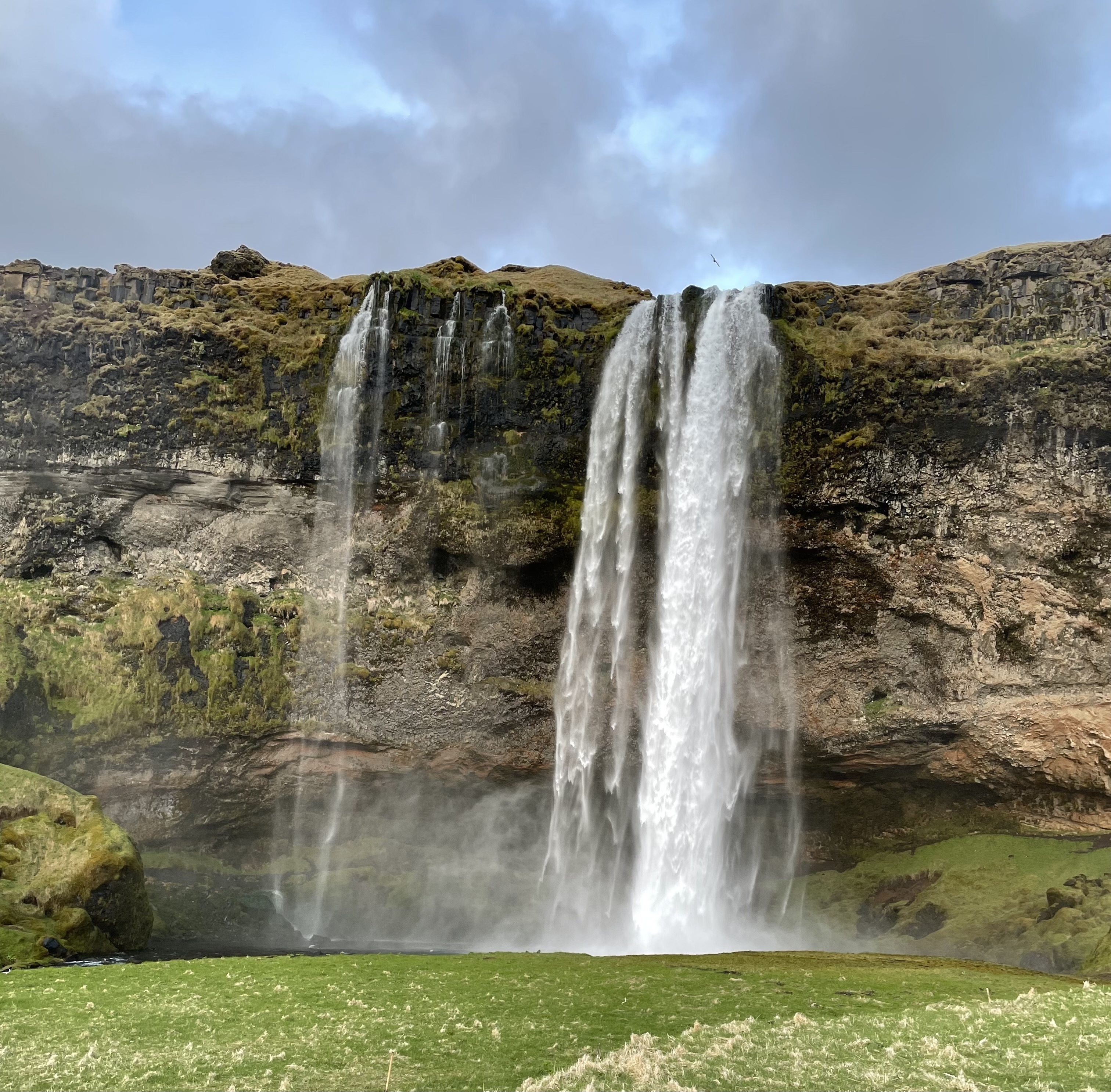 Appsvio visits Iceland